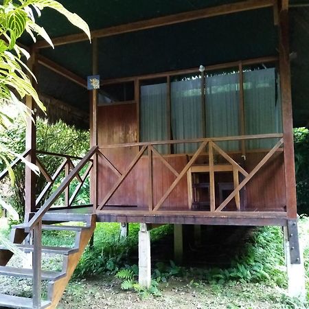 Inotawa Lodge Tambopata Bagian luar foto