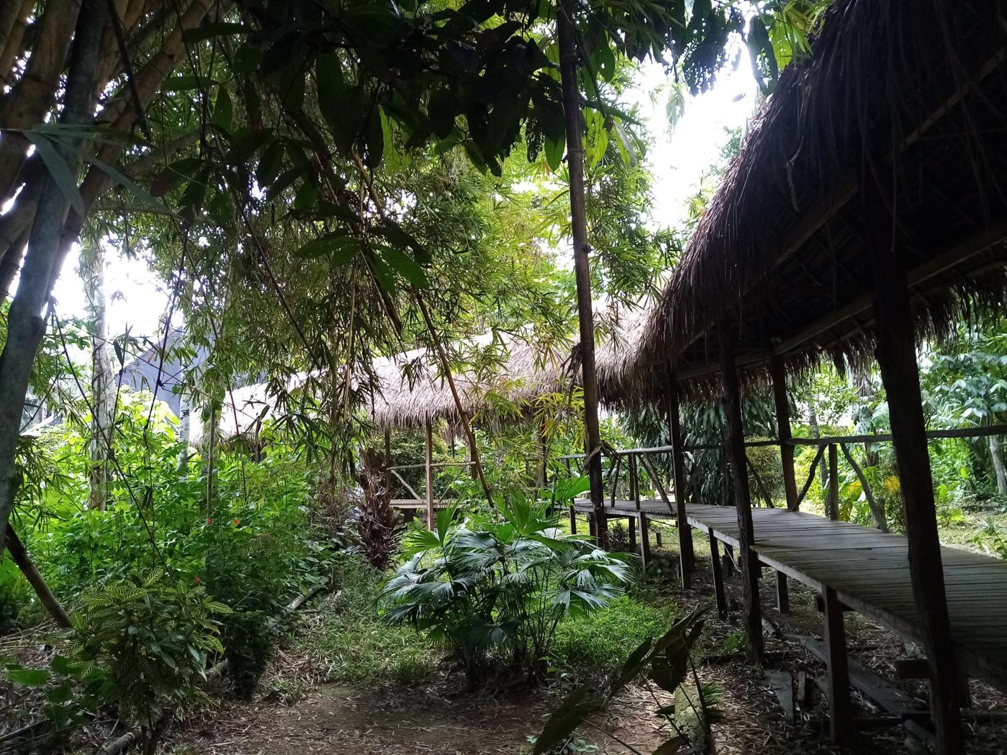 Inotawa Lodge Tambopata Bagian luar foto