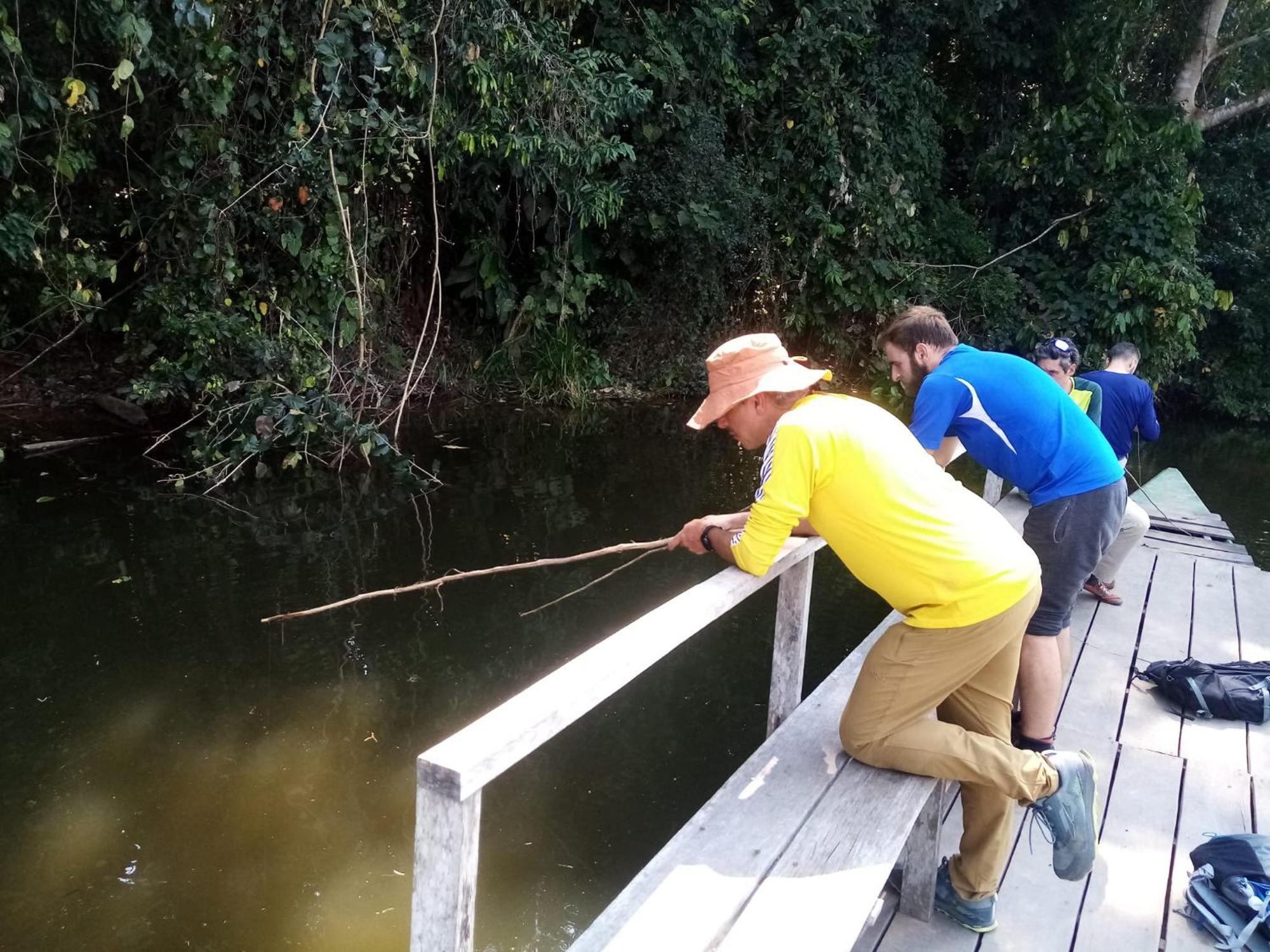 Inotawa Lodge Tambopata Bagian luar foto